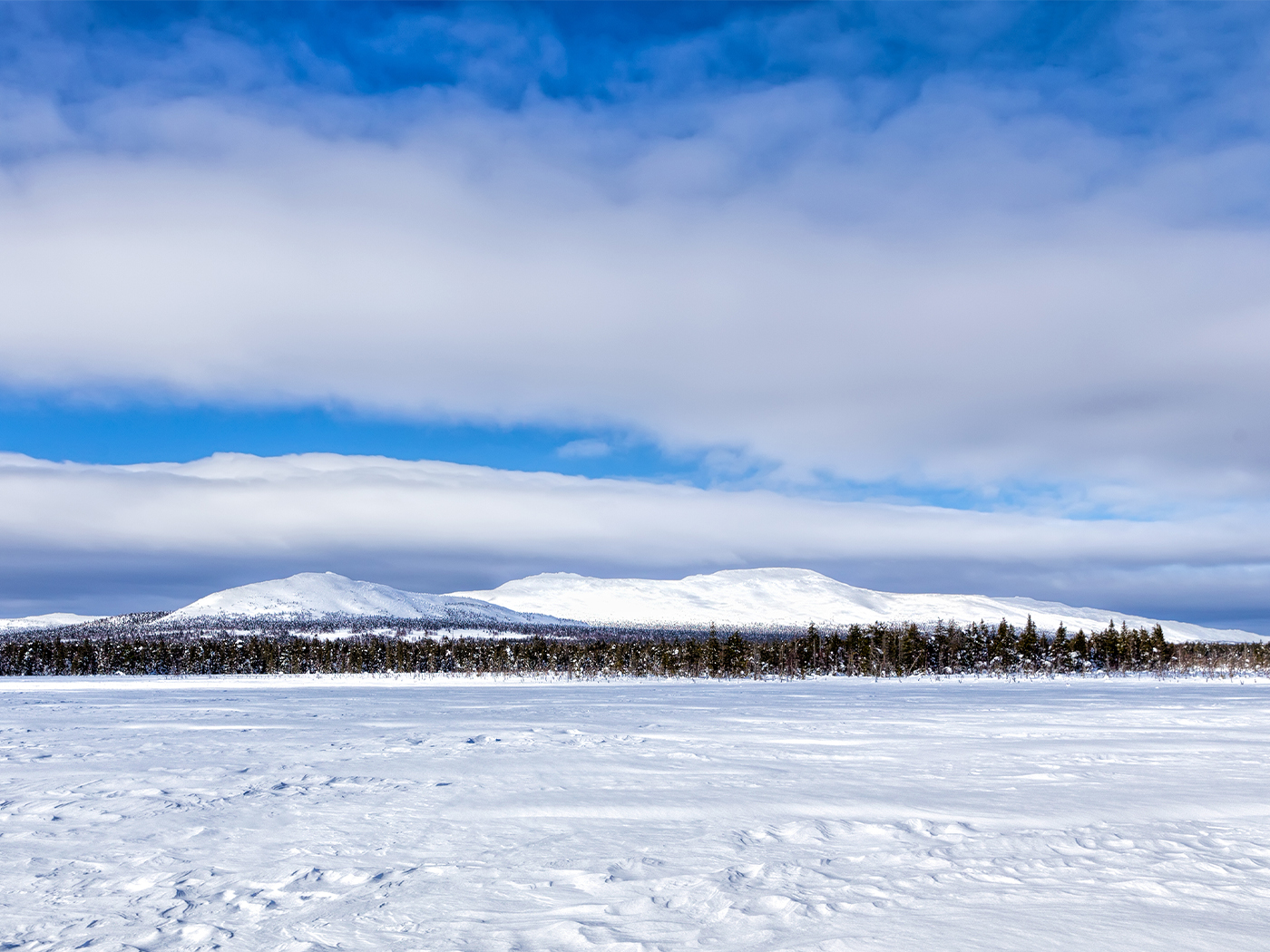 4d59186b-3175-455f-8254-edc7981e3262