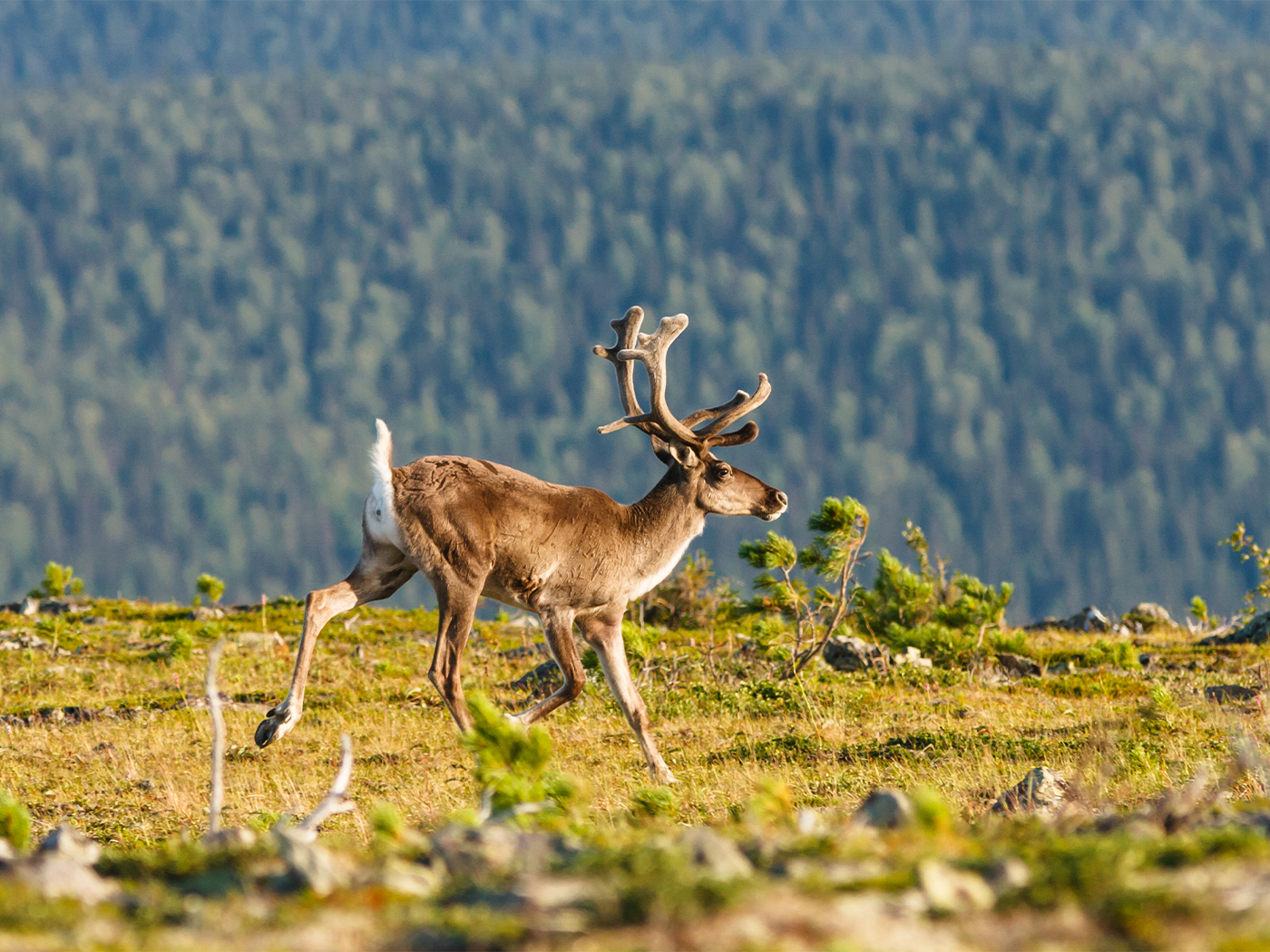 48b64d83-4d48-4505-8607-fd74a45a2fd9