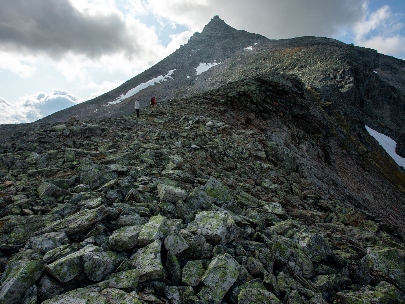 c7565565-2cbf-4972-a144-45f611c19534