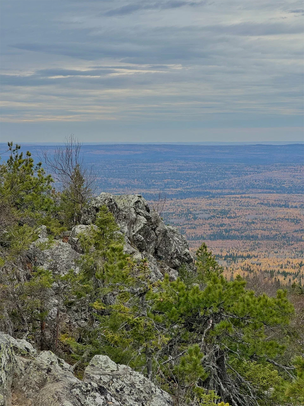 1d624851-eabe-46b1-8525-958d53946121