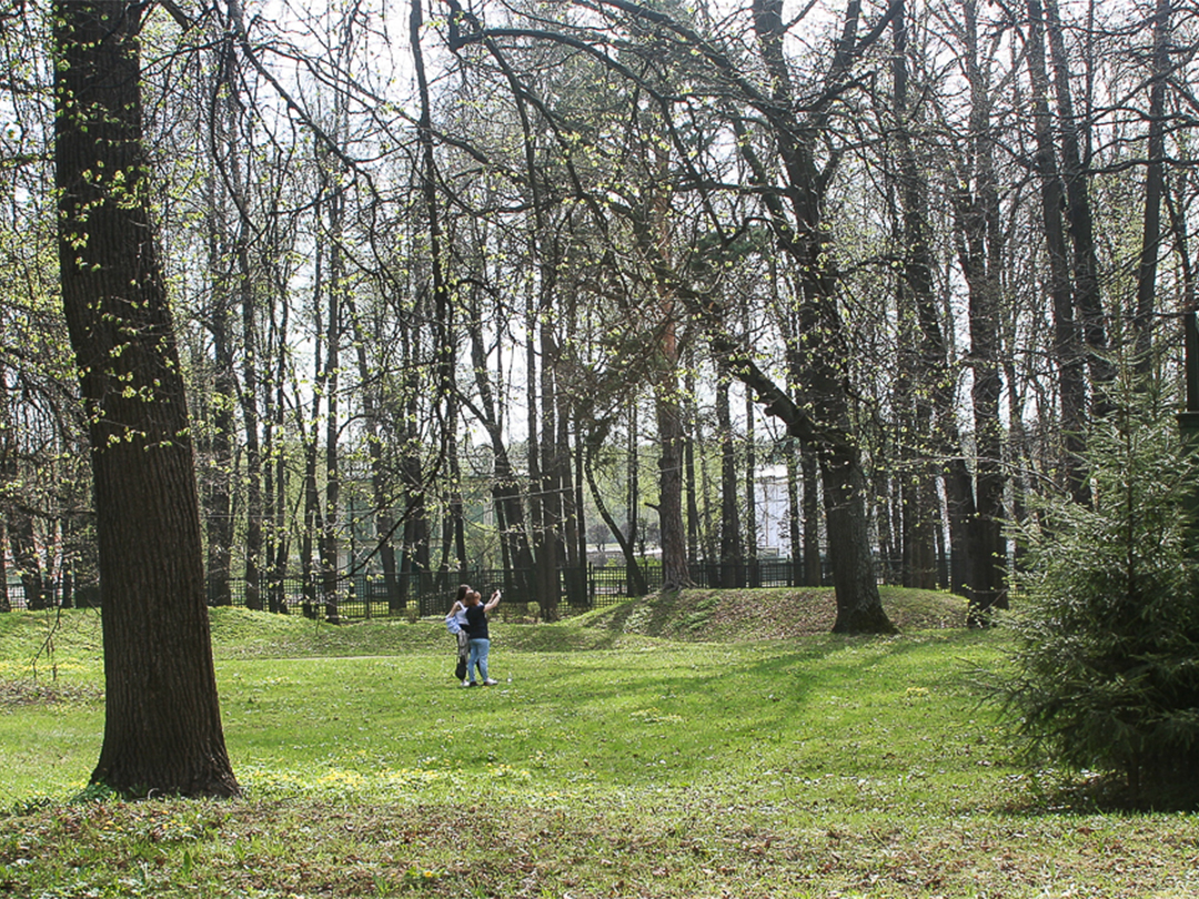 8fcfc9d0-404f-421e-a3ba-b660b50bf1dc