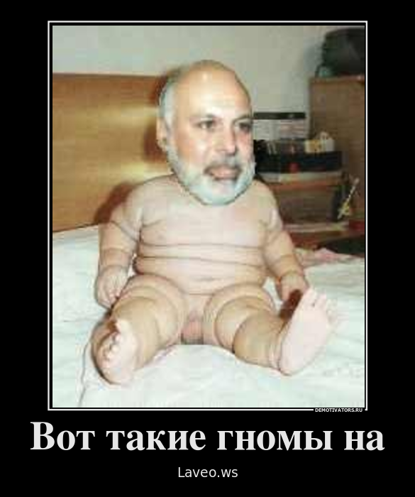 287321_vot-takie-gnomyi-na_demotivators_ru