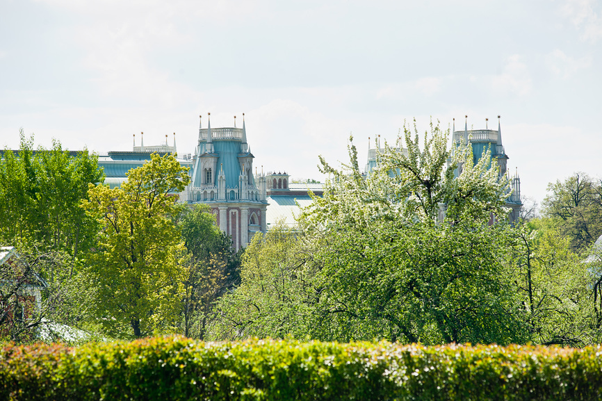 tild3639-3965-4539-a465-643634666534__lori-0022828097-bigw