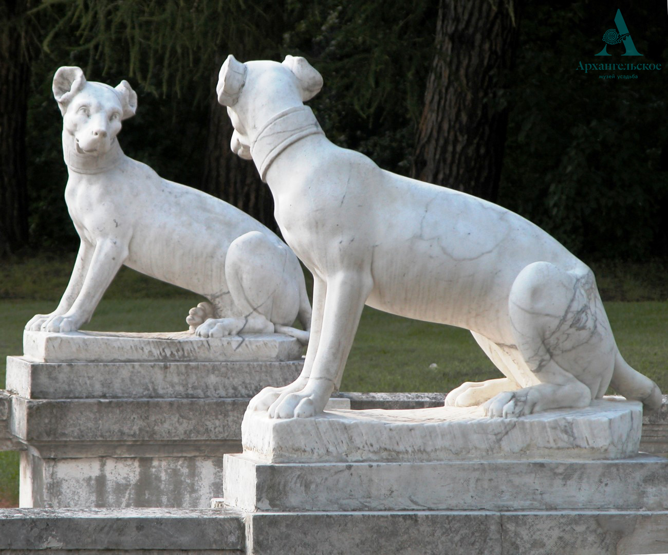 �������  (1)