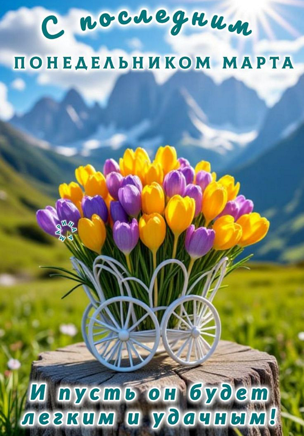 31d2a351cd507a96f2d54ef383222b87_cr