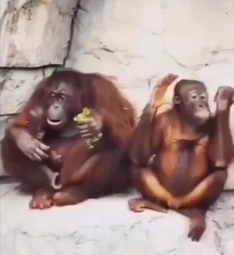 Пнул под зад