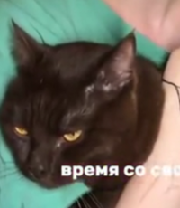 result_Скриншот-20260330-212340