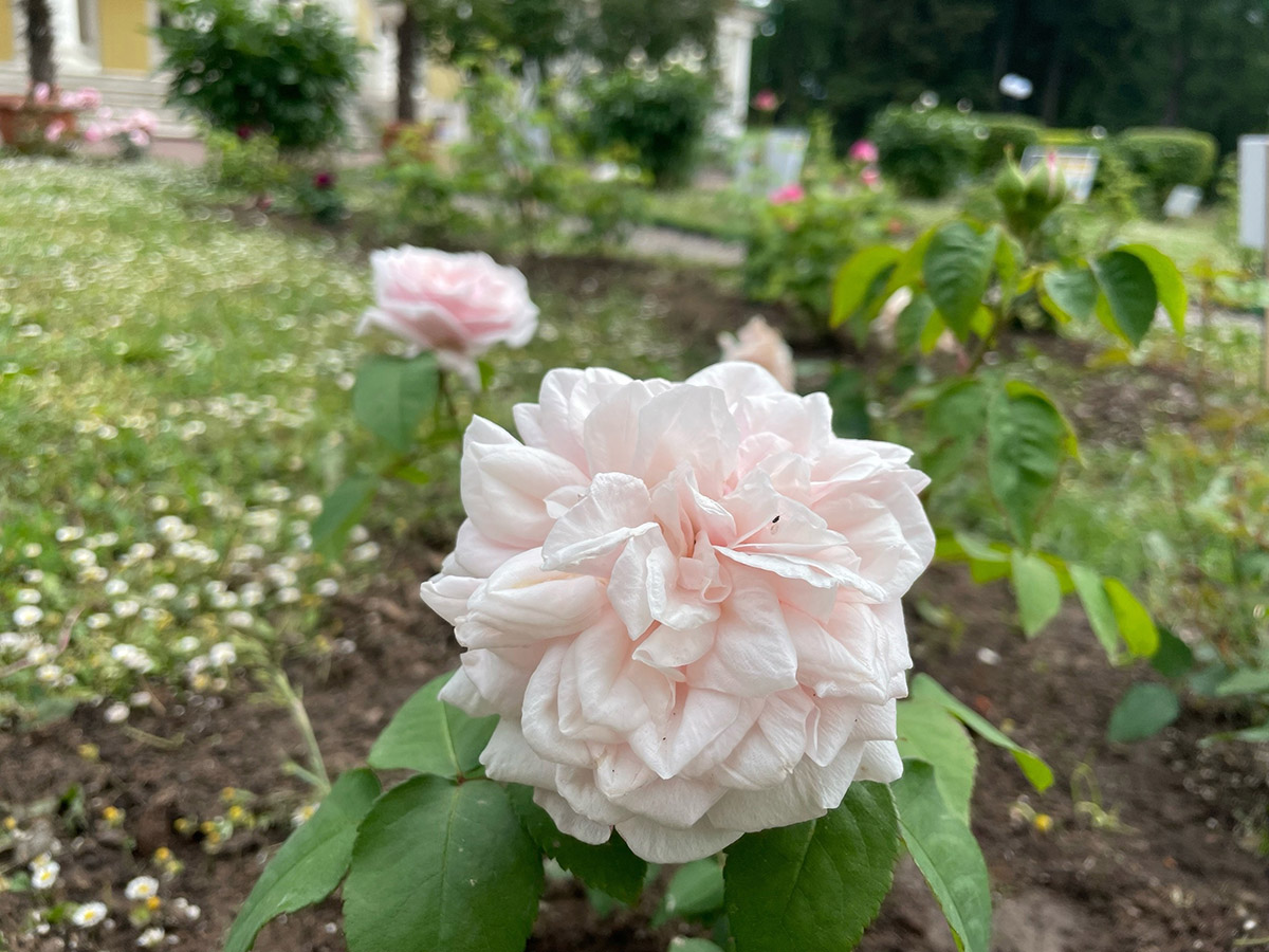 6cc66c7d-2fb9-4e7a-8dd1-d7cd6aecb377