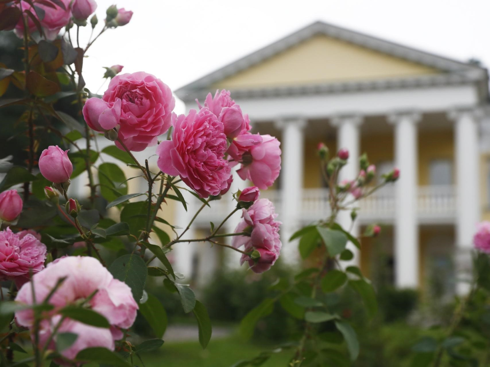 rh9H3fZmFEcwWZ53oXzKu5ddNQLT5eUfx4ZFLjrM