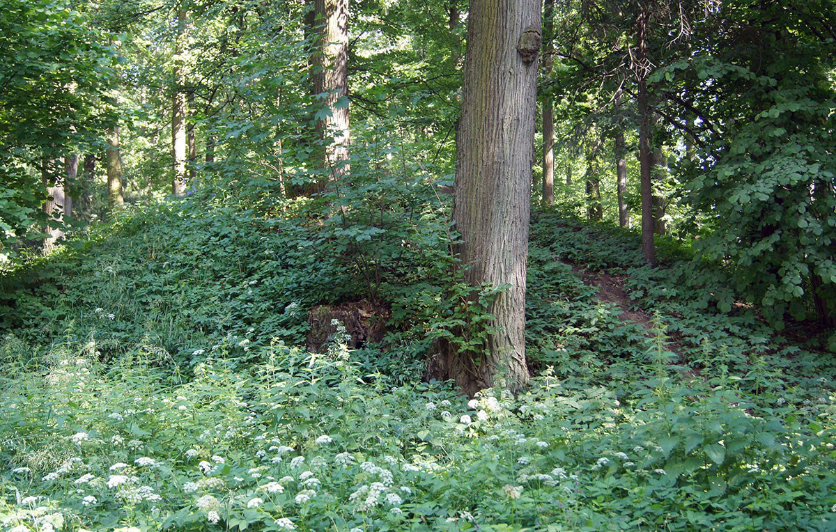 cc9e5230-78be-4ca4-a9d4-0fac458fed56