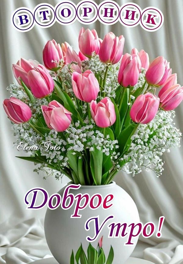 6fd2440f3192861c65205c26bea0b5bb_cr