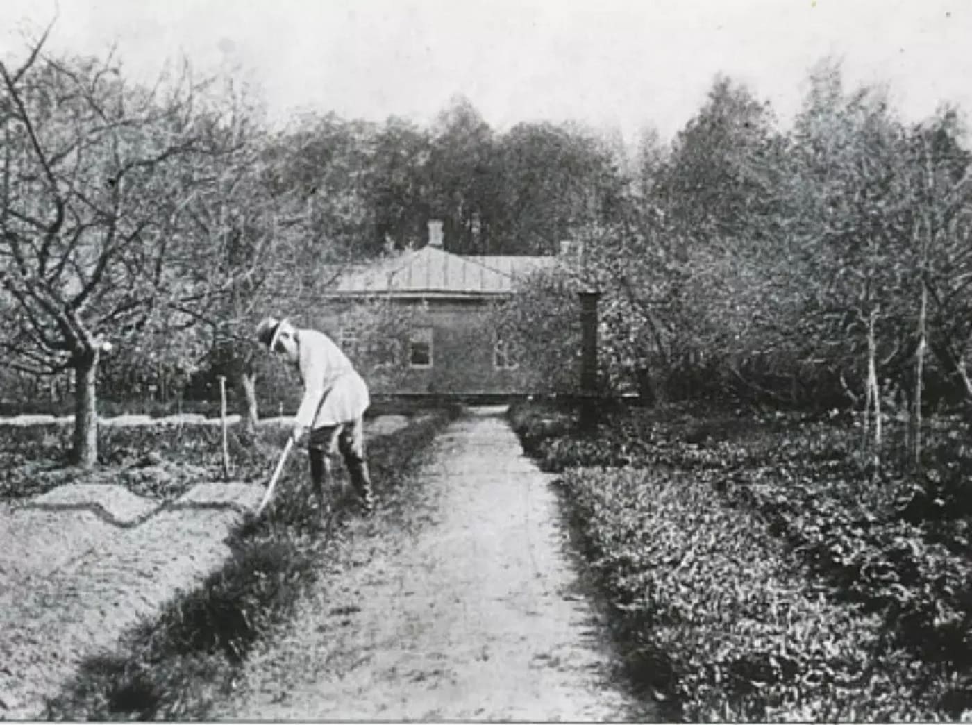 c8365993-7402-4995-bb82-b7f517681a28