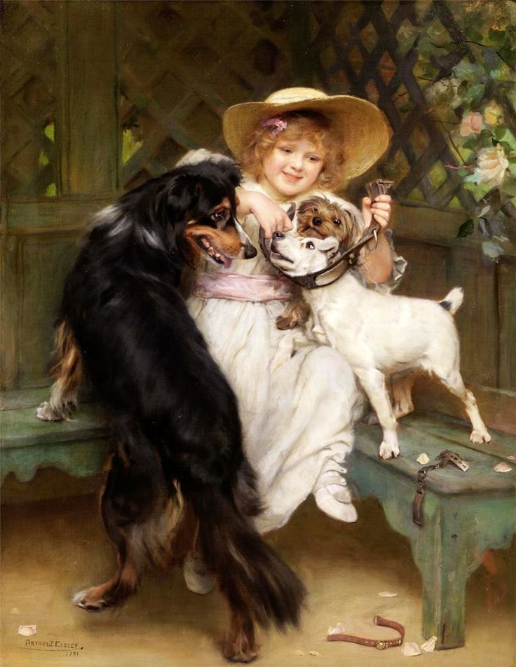 d97c35ba3712d16a488a81701d8fcc3b