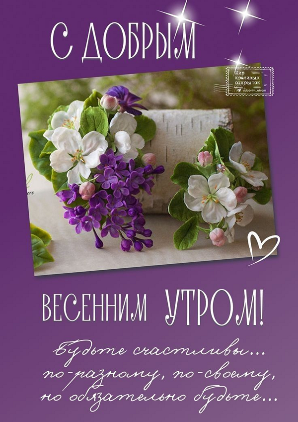 147b0e294b6b400a5d57851f636d0aff_cr