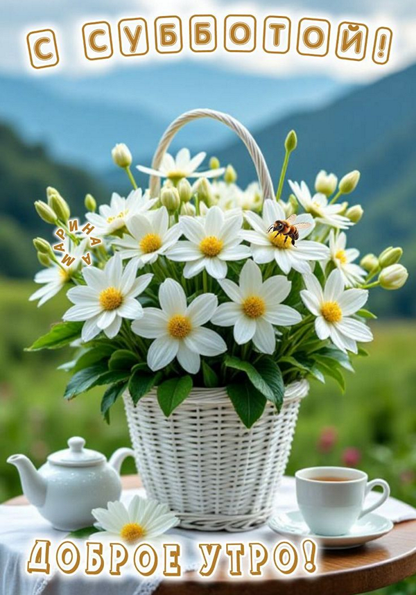 440714ebbac5d0ff50f518cda8919fa7_cr