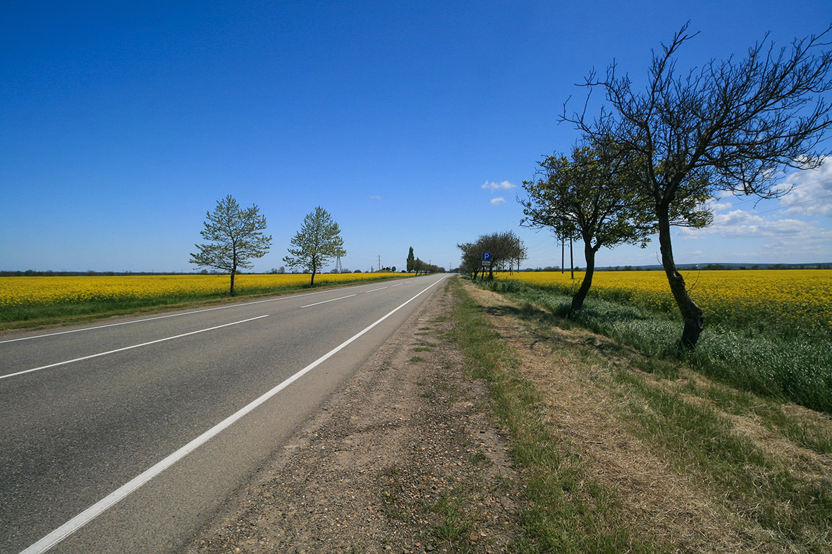 ab296ad9-b12e-43fc-b4c2-744248c19634