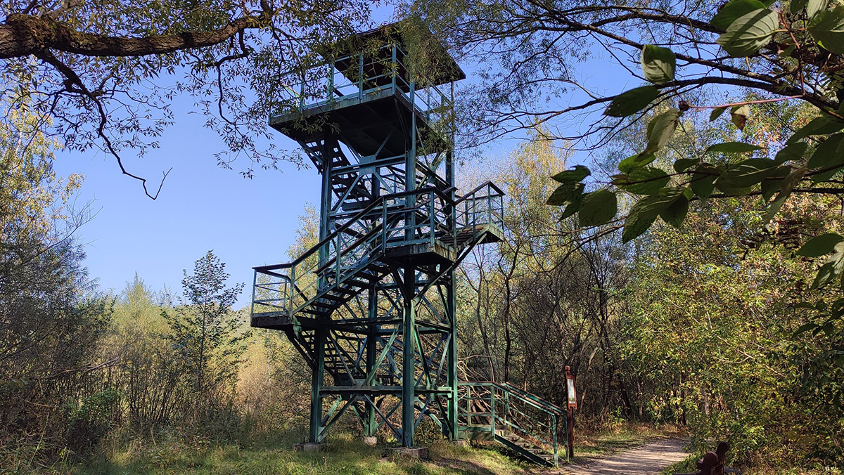 4df6f0f8-9520-4ad1-9aab-90faf0495883