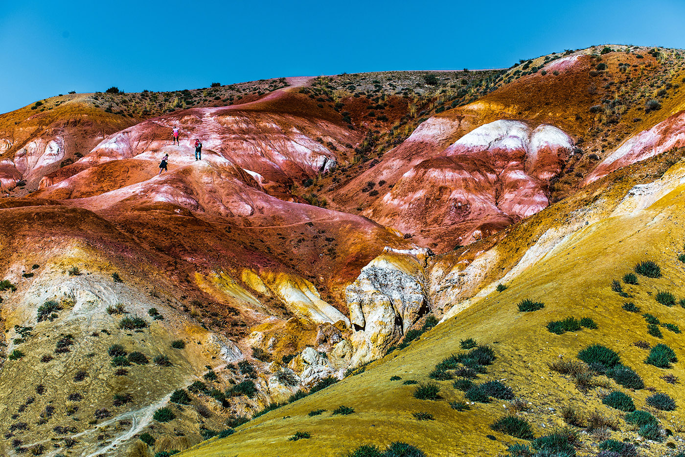 95ab73db-7adf-4572-97d7-d155079c6265