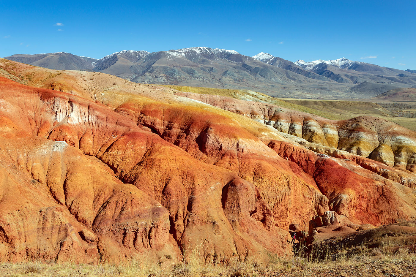 89d4114f-5336-4a53-8d47-8ff229aab3c3