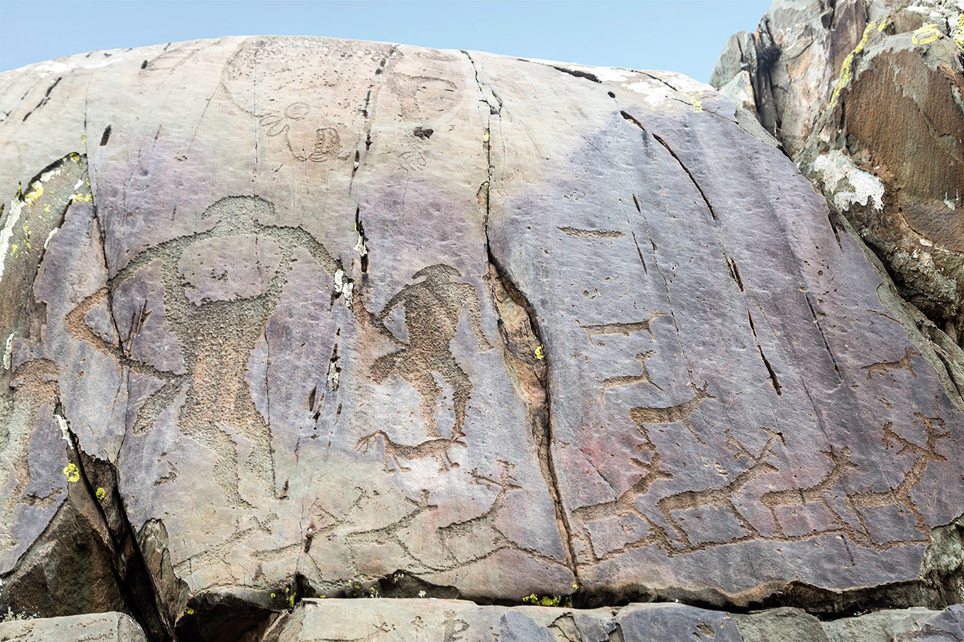 951e6df2-a6d3-443e-b5ea-620306fe6b14