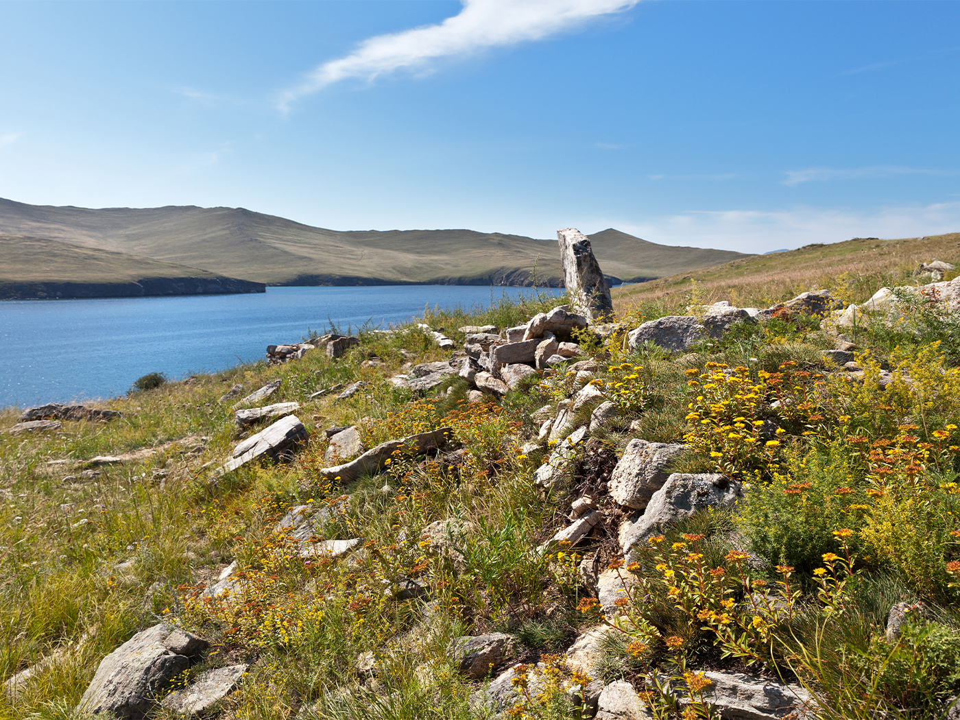 a9ba658c-08f2-4a9d-9471-ed3b9e60cbdd