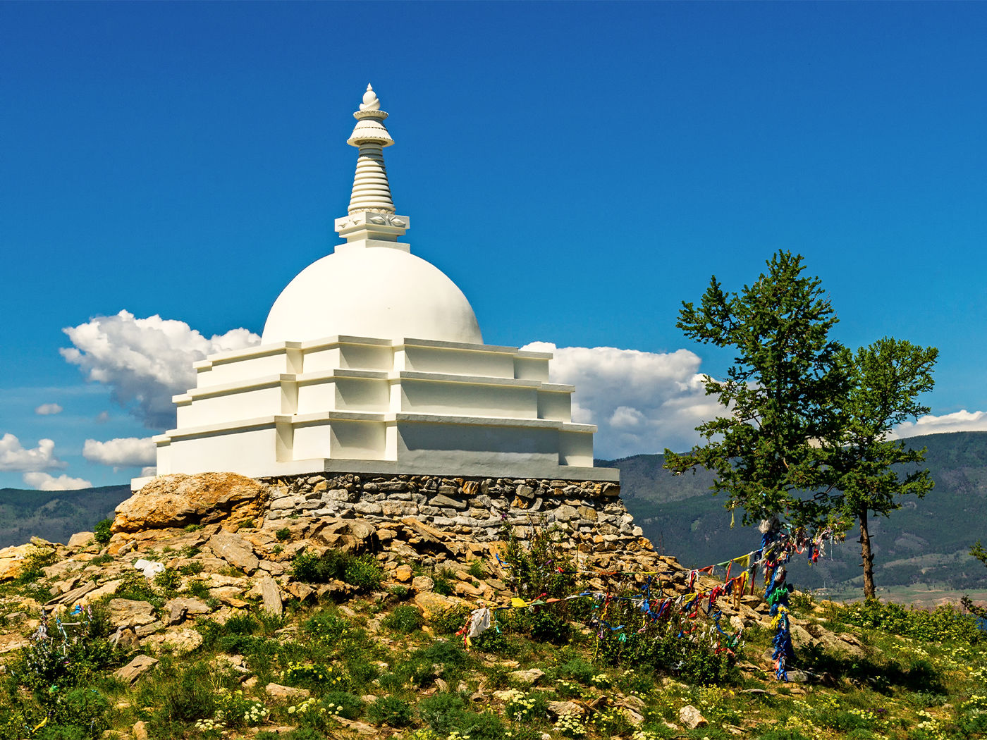 2a8b1a25-b6b0-433f-a3d3-6fe32953bcde