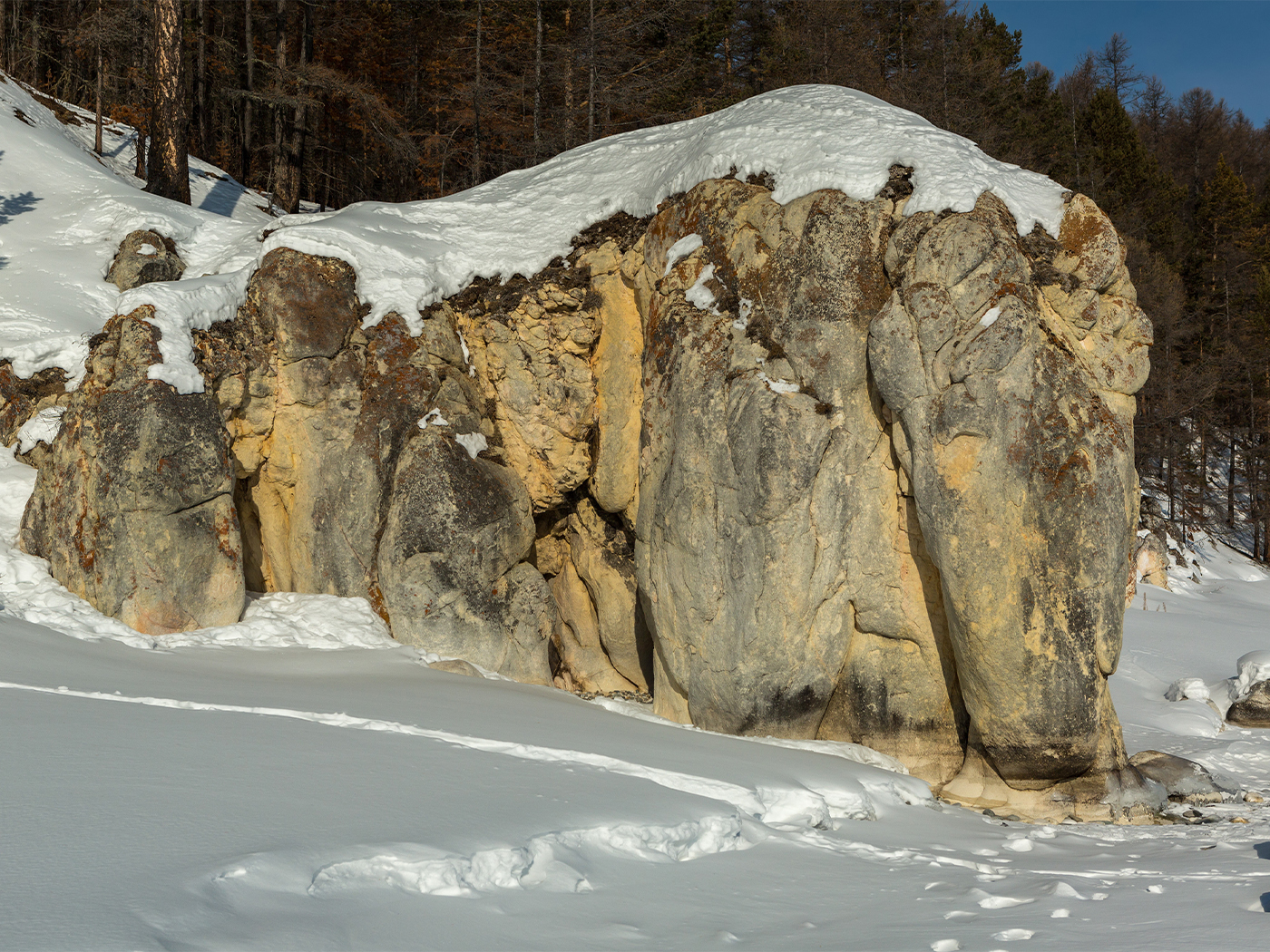 b1faa3e8-a914-4883-99d1-167cf31833b3