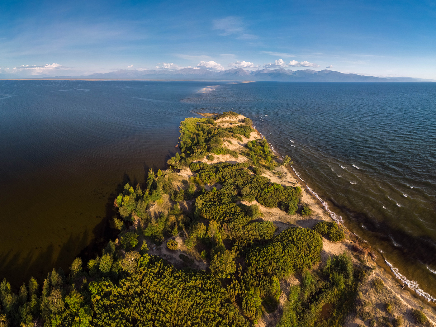 37d8898f-0cc0-43ce-9d17-a16dfdf37742