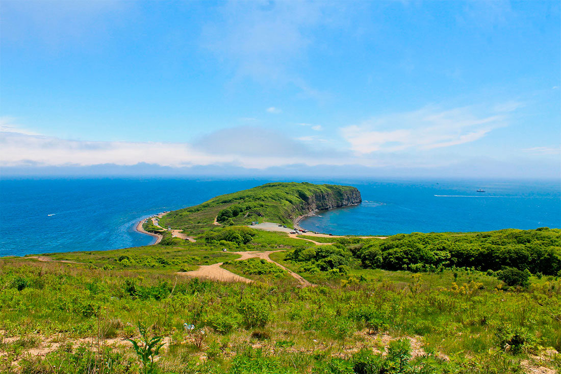 cape-tobizin