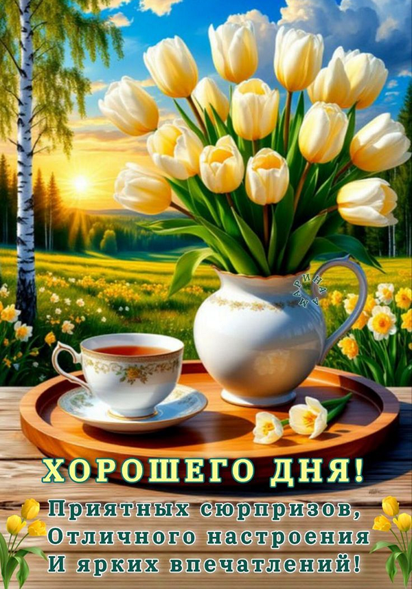 799396116da017dfc81eb66b3f33d78c_cr