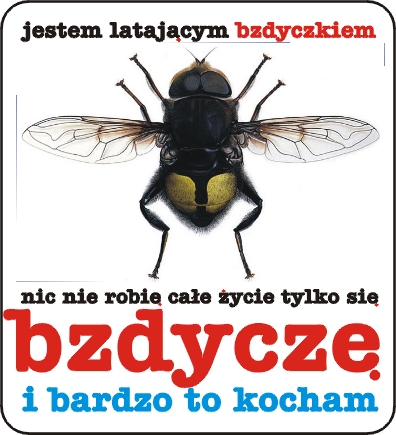 Bzyczek