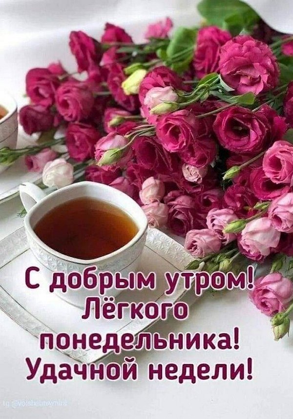 3021635453_cr