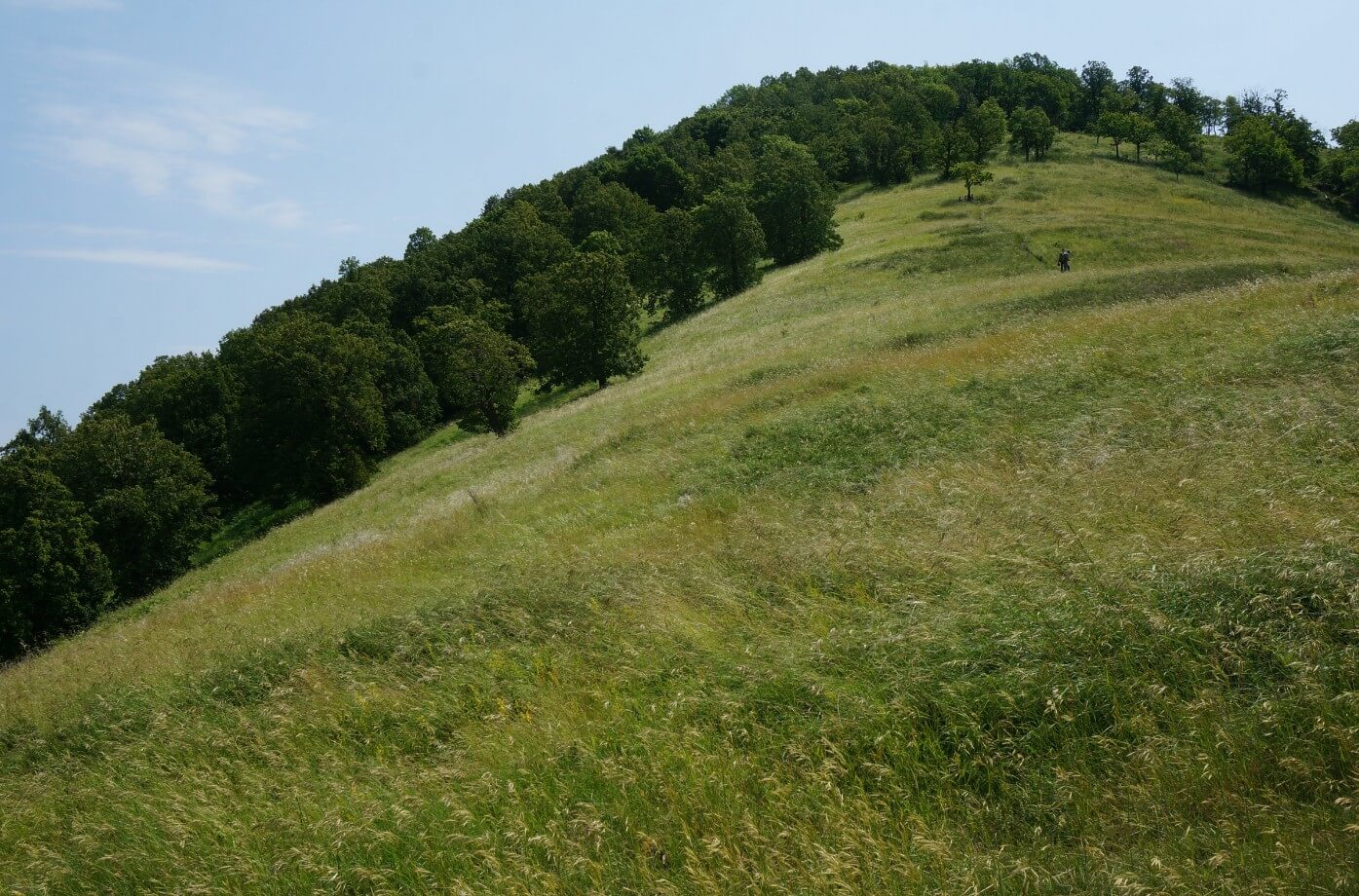 Urochische-Monastyrskaya-gora