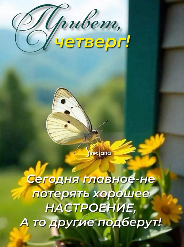 5a9f731995113f8ba77c0741f671d4eb_cr