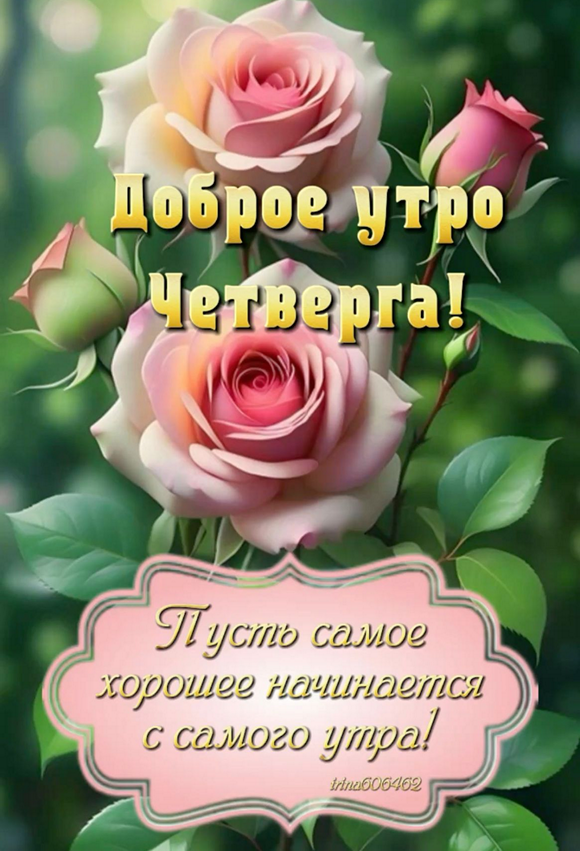 11448da16994dbd580b3ed24cdeef767_cr
