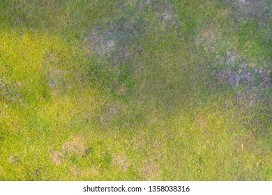 aerial-top-view-natural-grass-260nw-1358038316