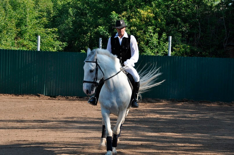 equestrian-club-angel