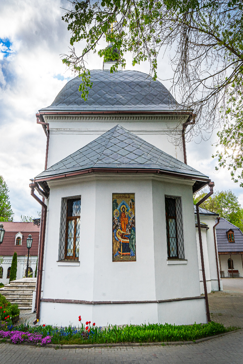 scale_1200 (2)