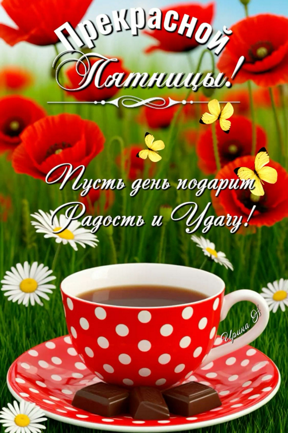 1173f0c587dfe8eacd5fe5f5380e4738_cr