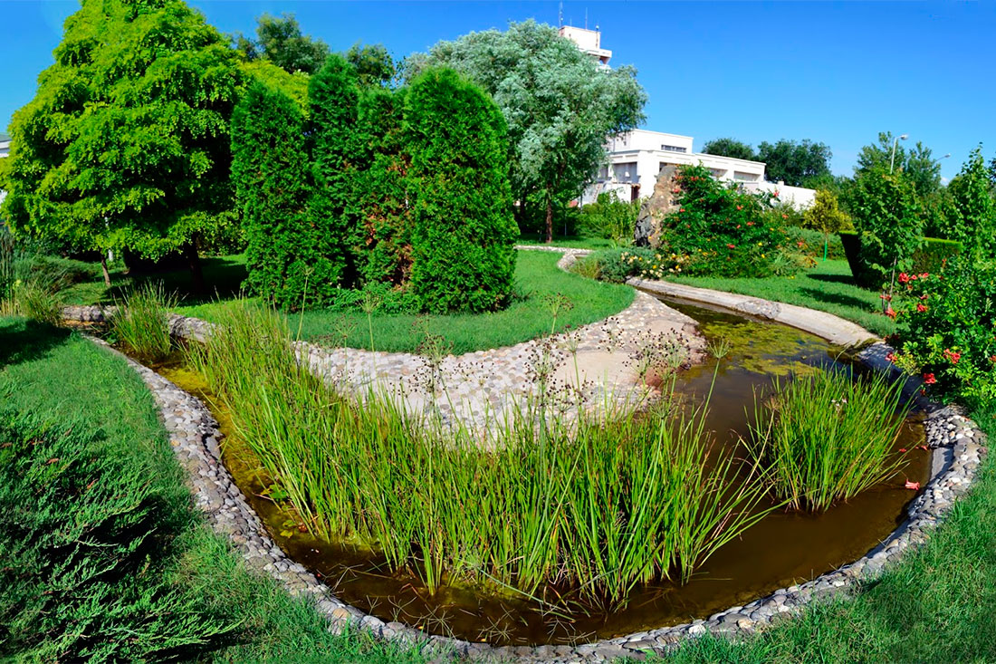 arboretum