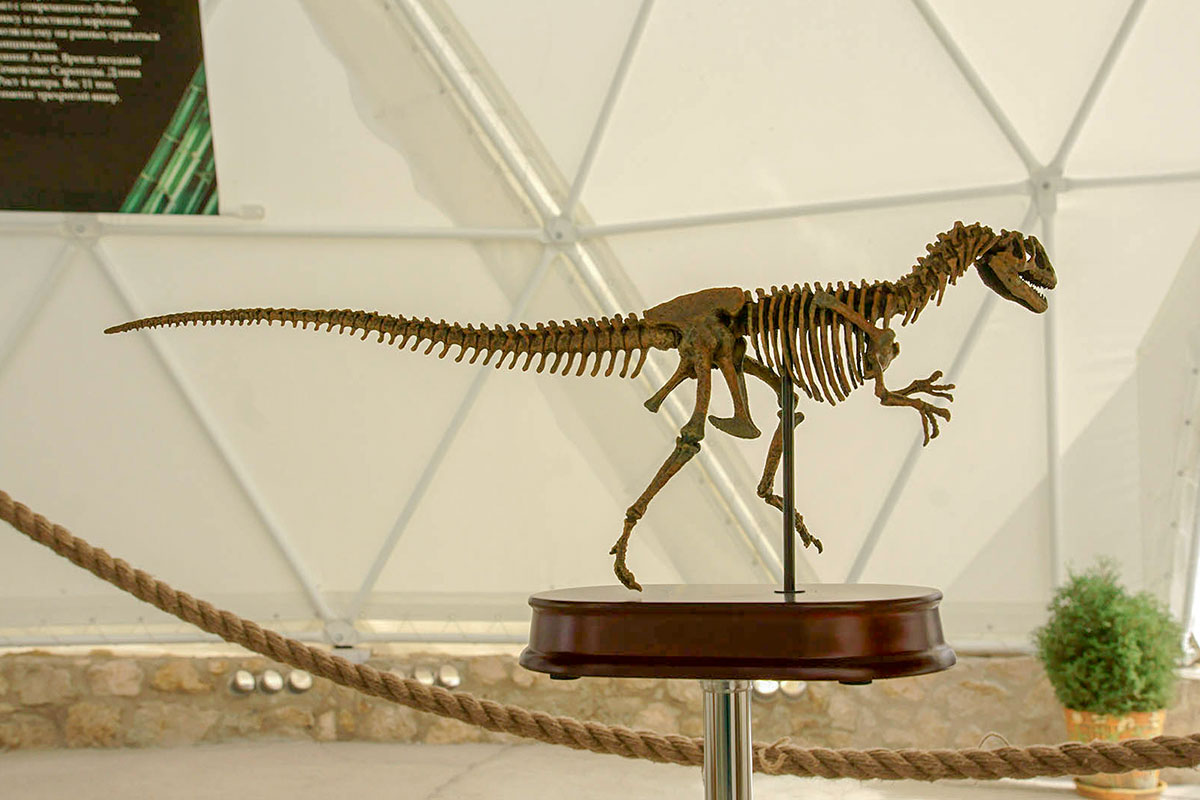 dinoteriy-countryscanner-7