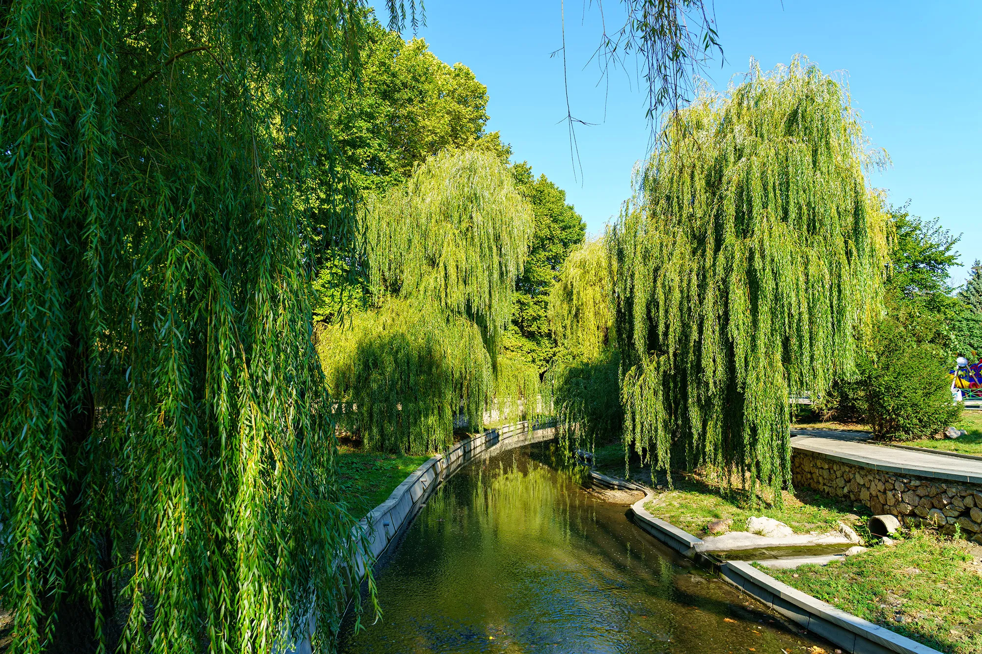 Collection_May.format-webp.max-2000x2000.jpegquality-80_gfPqLi6
