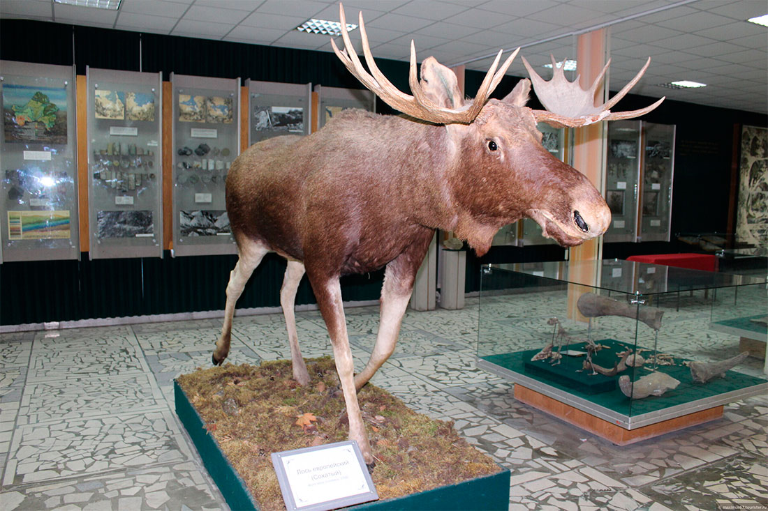 museum-of-local-lore