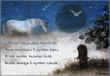 8089702_cf2d7a0d