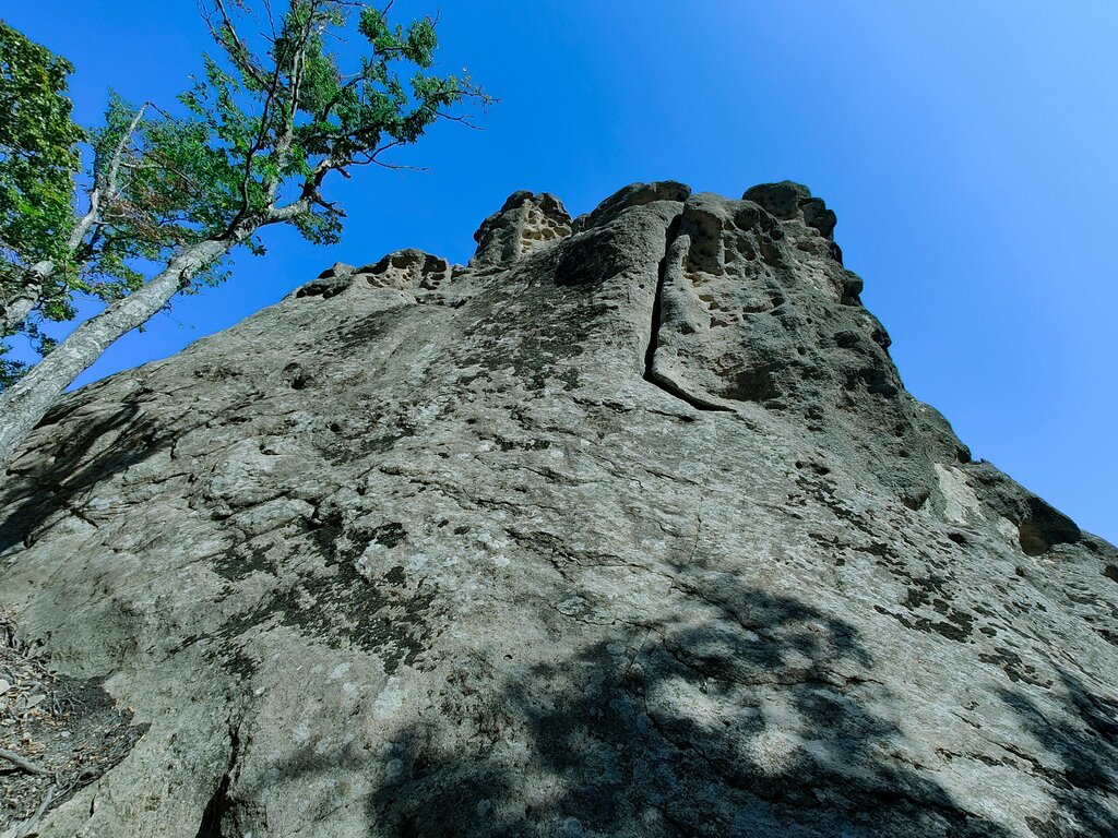 XXL_height