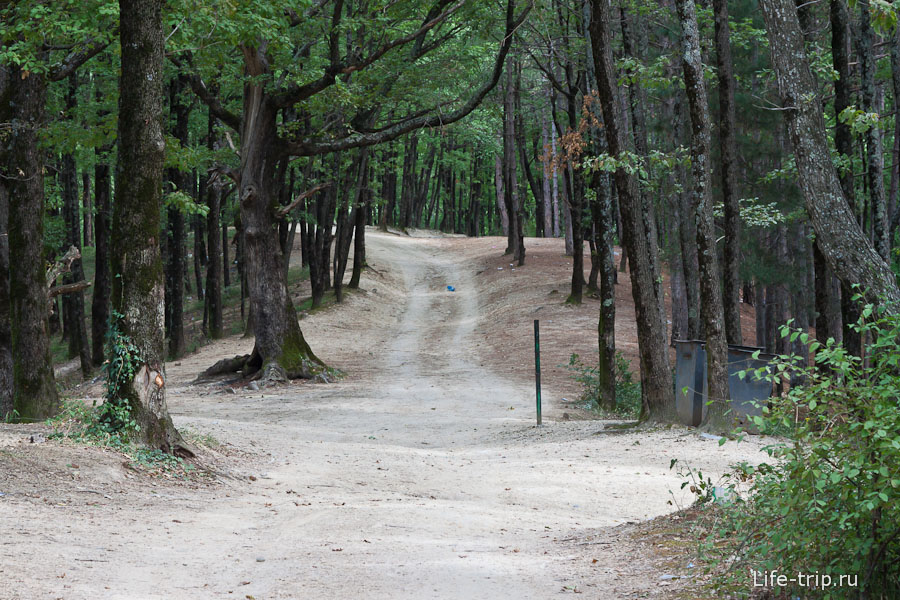 foto-skala-kiseleva-14