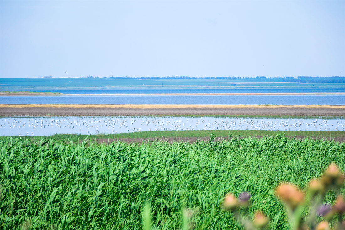 vityazevsky-estuary