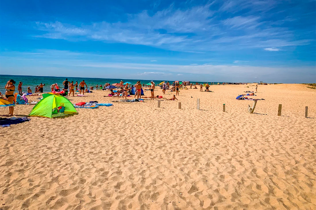 tortuga-beach