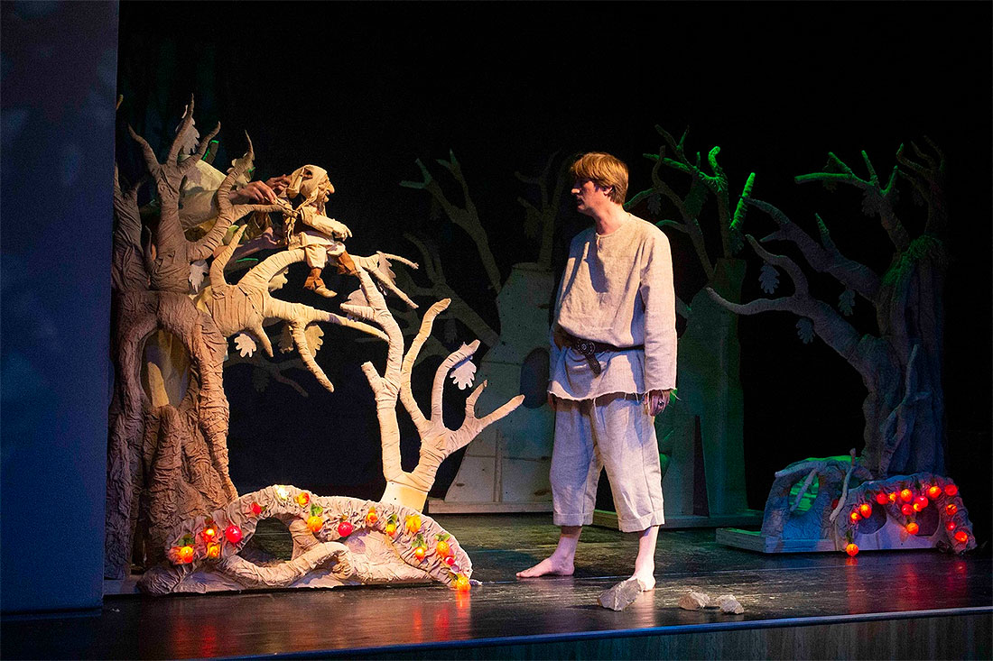 zabaikalsky-state-puppet-theater-far-away-kingdom