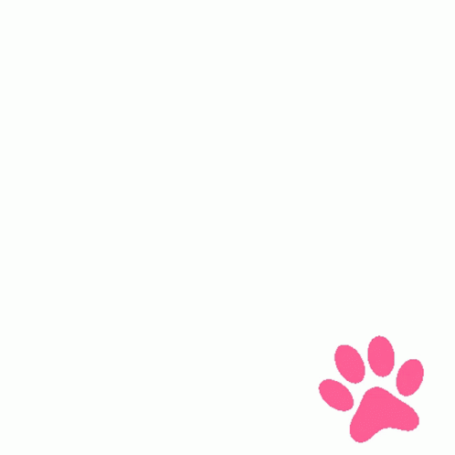 paws-paw